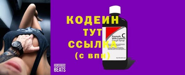 мдпв Вязьма