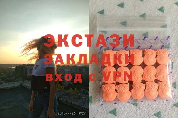 дмт Кедровый