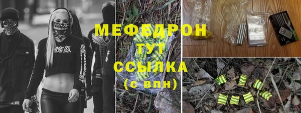 мдпв Вязьма
