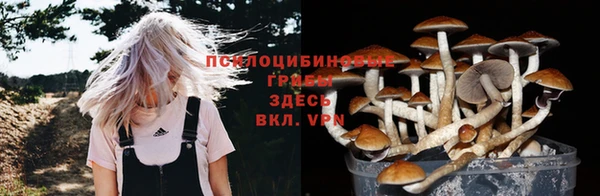 кристаллы Вяземский