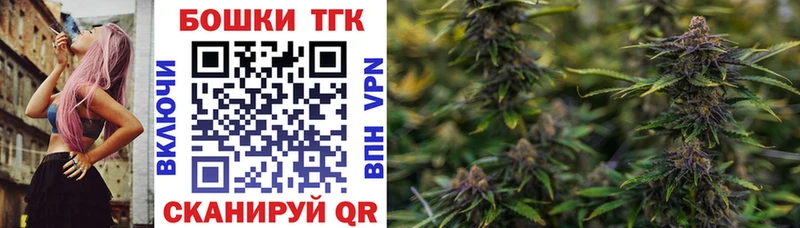 Шишки марихуана индика  Купить закладки  Аргун 